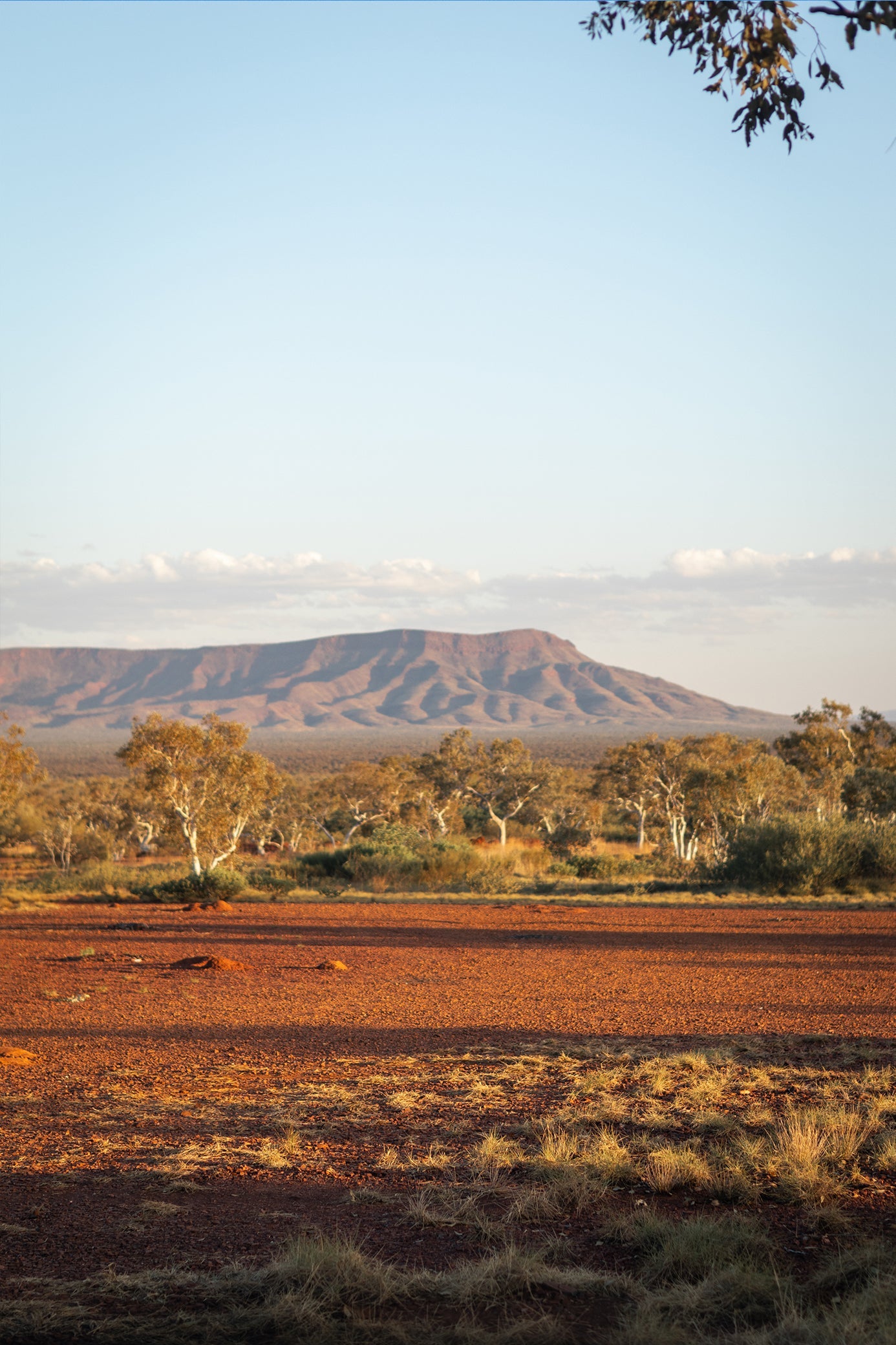 Western Australian Prints