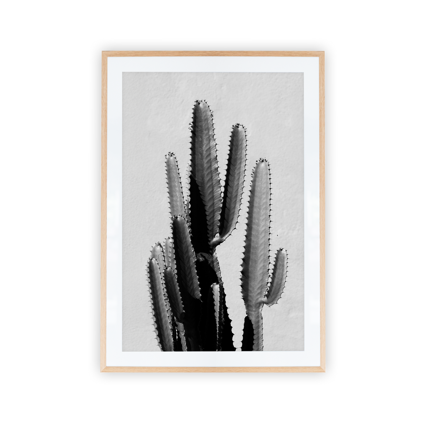 Black and white cactus inside oak picture frame