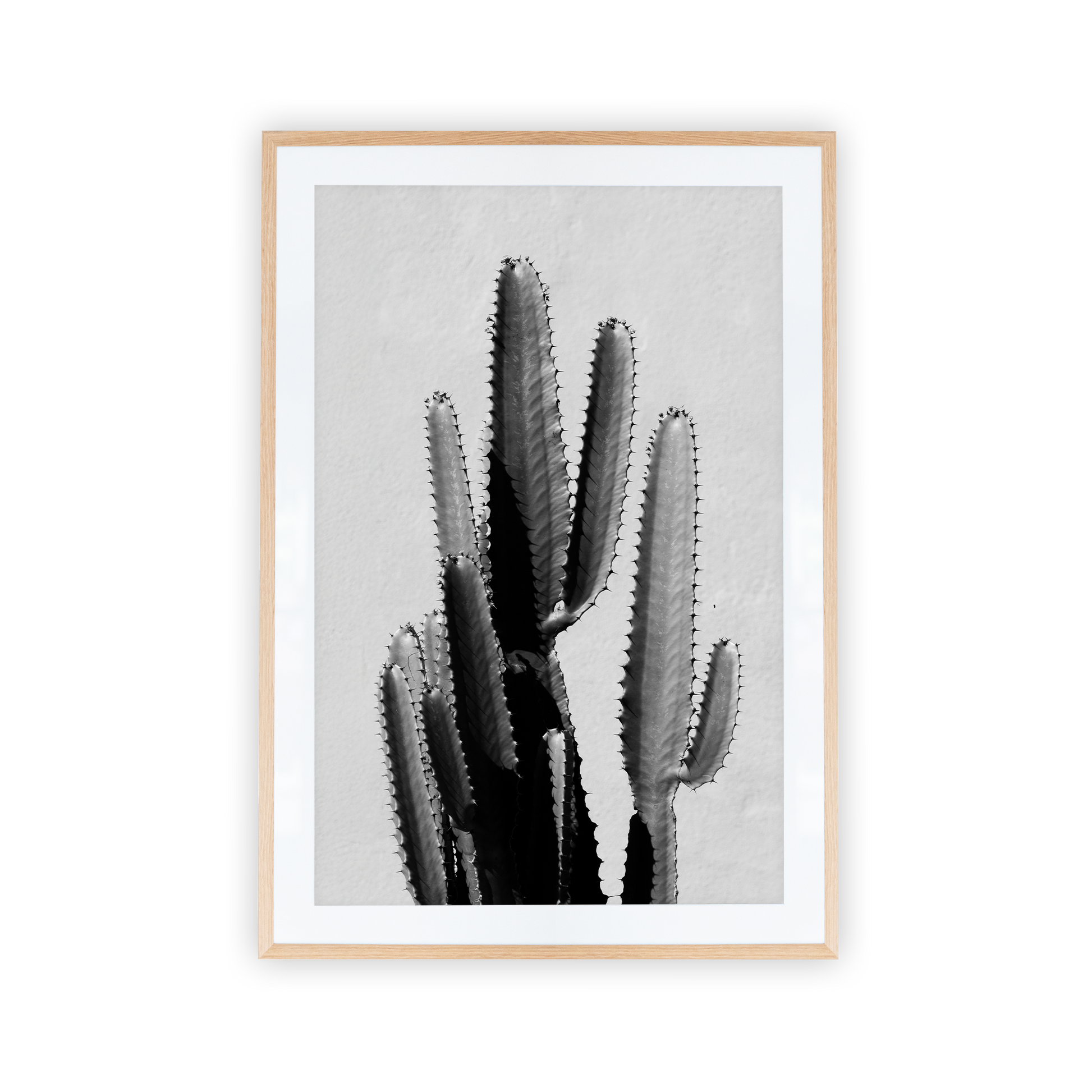 Black and white cactus inside oak picture frame