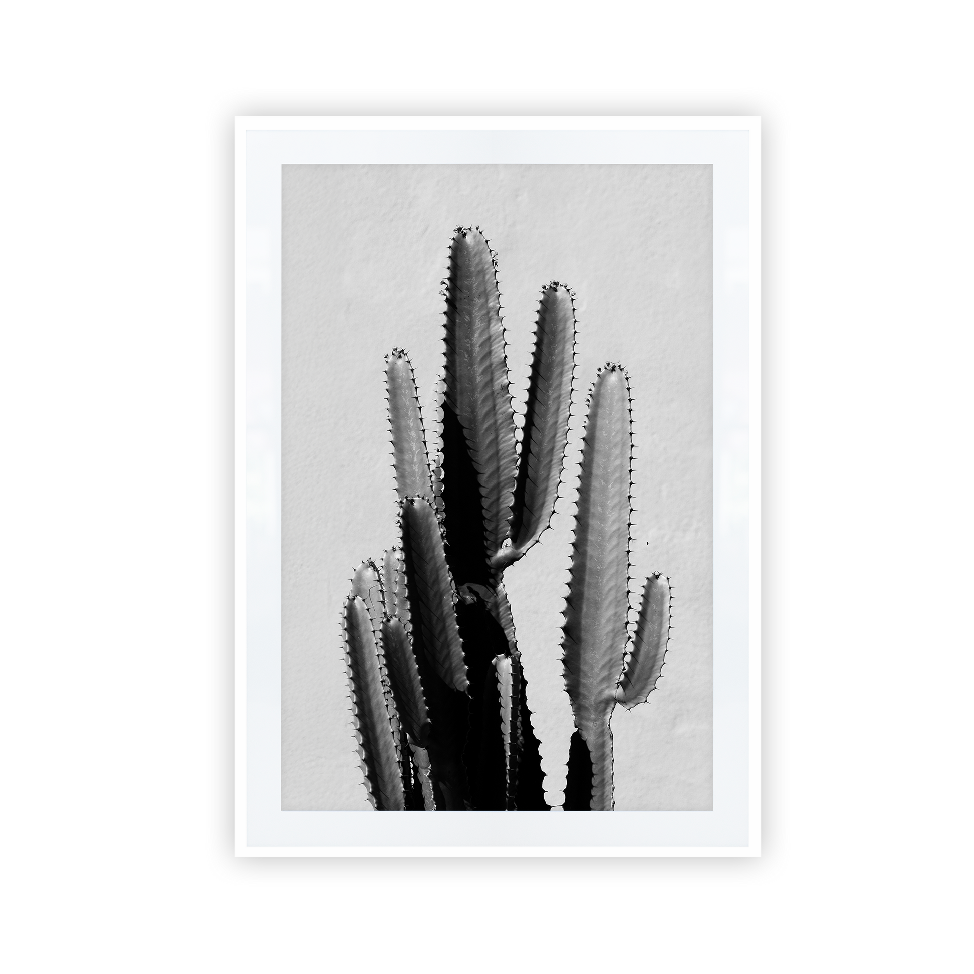 black and white cactus on a black framed print