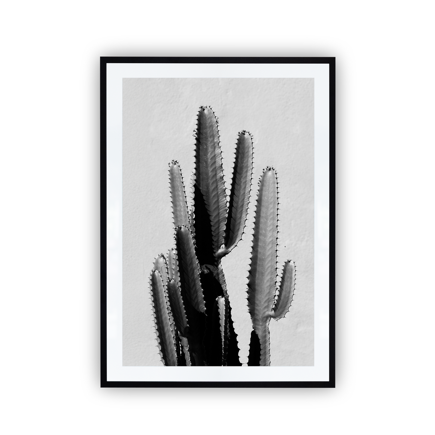 black and white cactus print inside a black frame