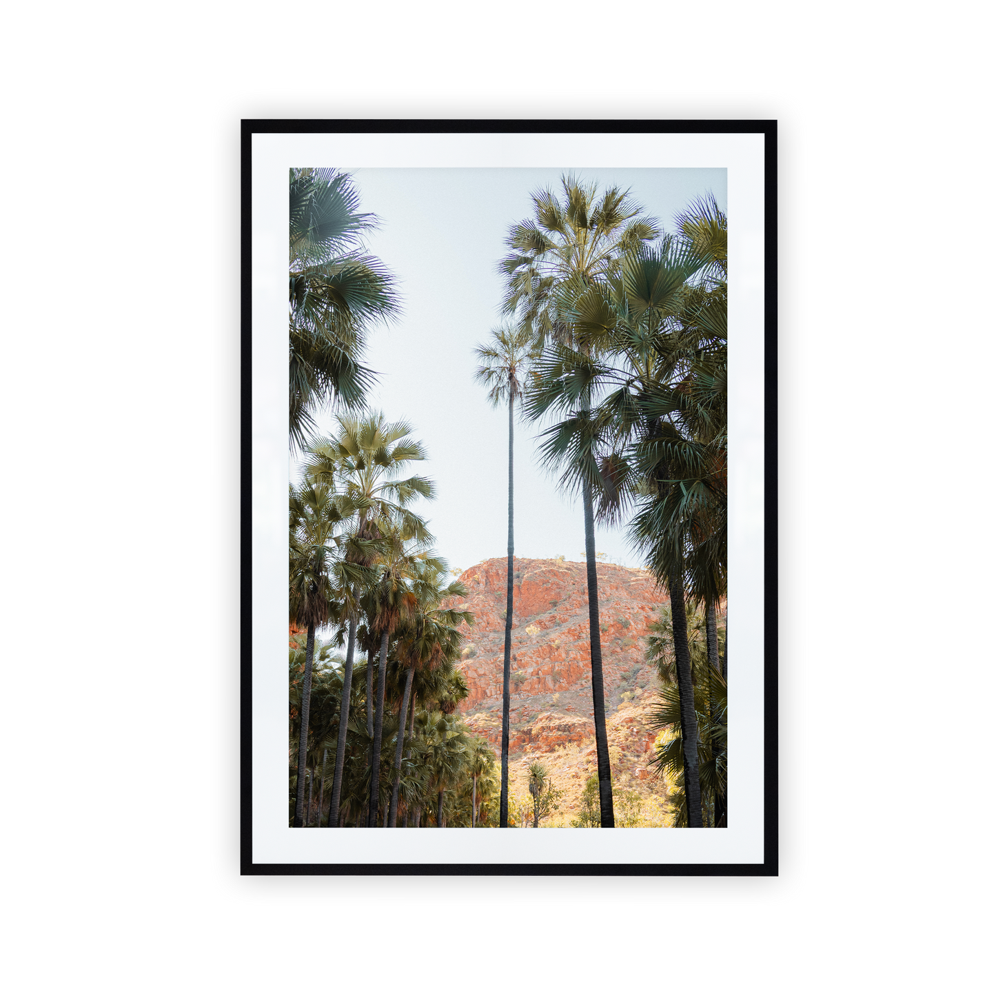 El Questro Palm Trees