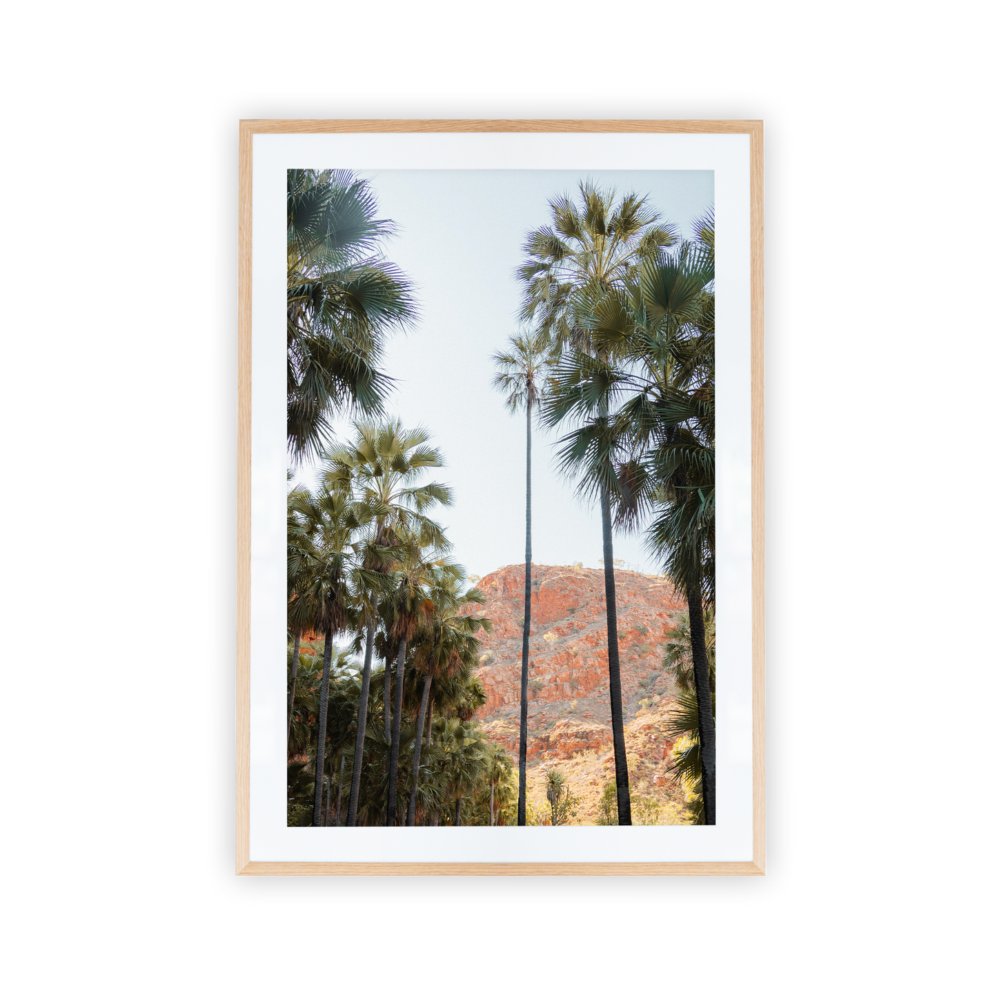 El Questro Palm Trees