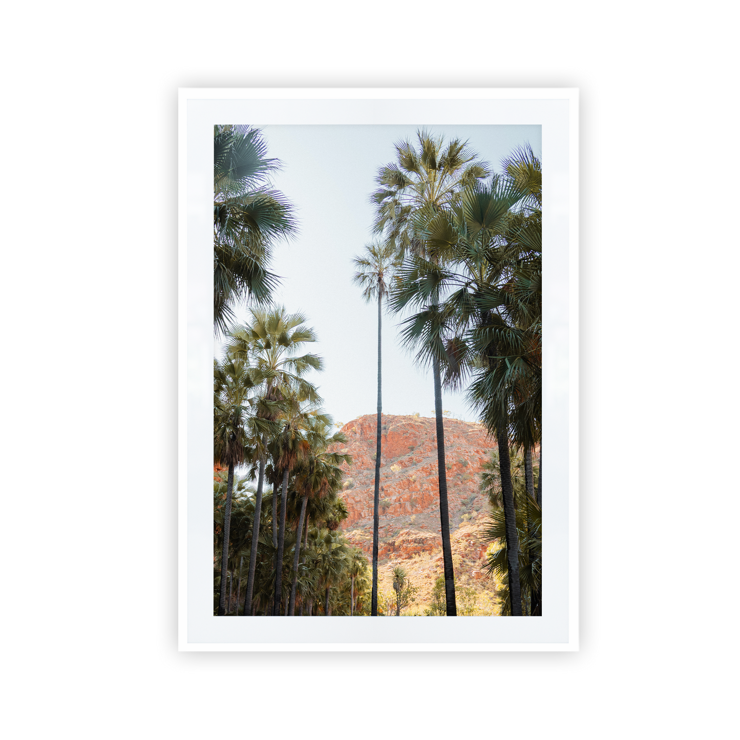 El Questro Palm Trees