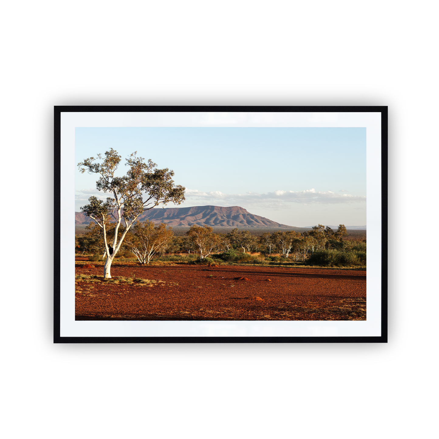 Buddhas Overnighter Custom Landscape Print