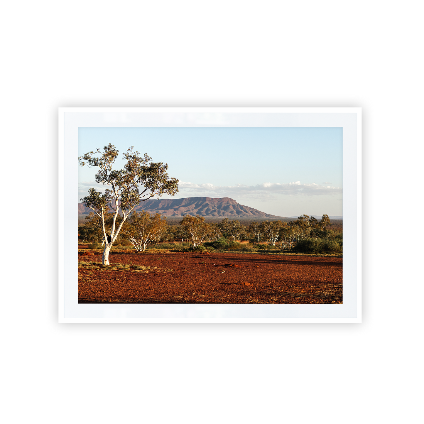 Buddhas Overnighter Custom Landscape Print