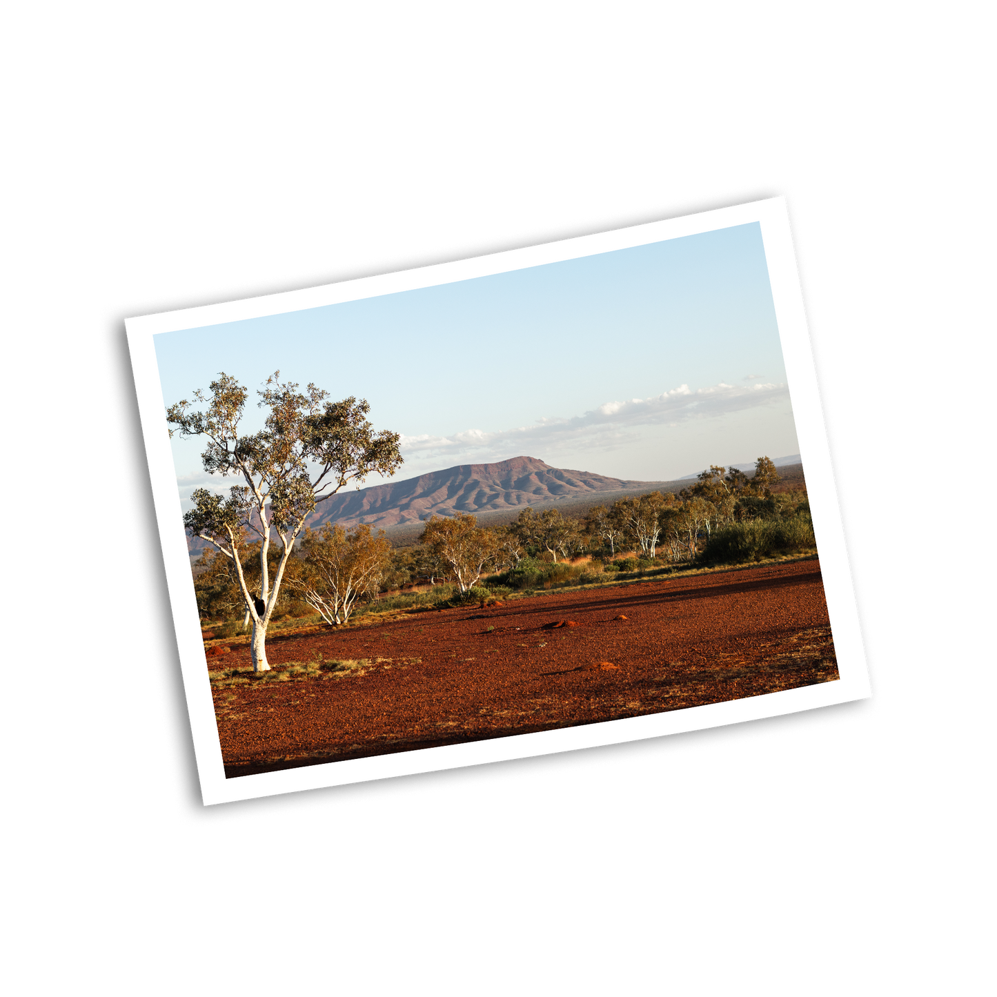 Buddhas Overnighter Custom Landscape Print