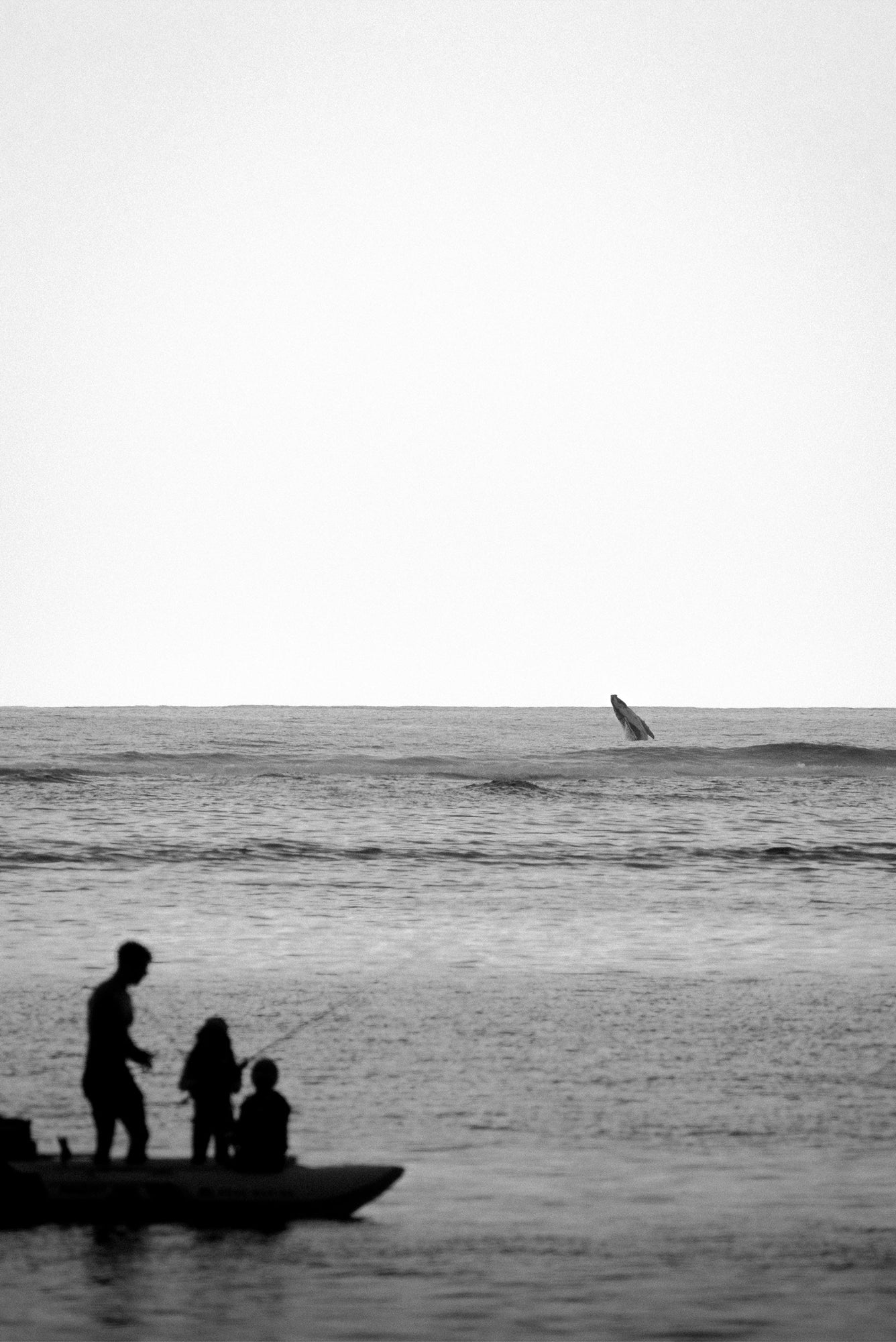 South Lefroy Whale
