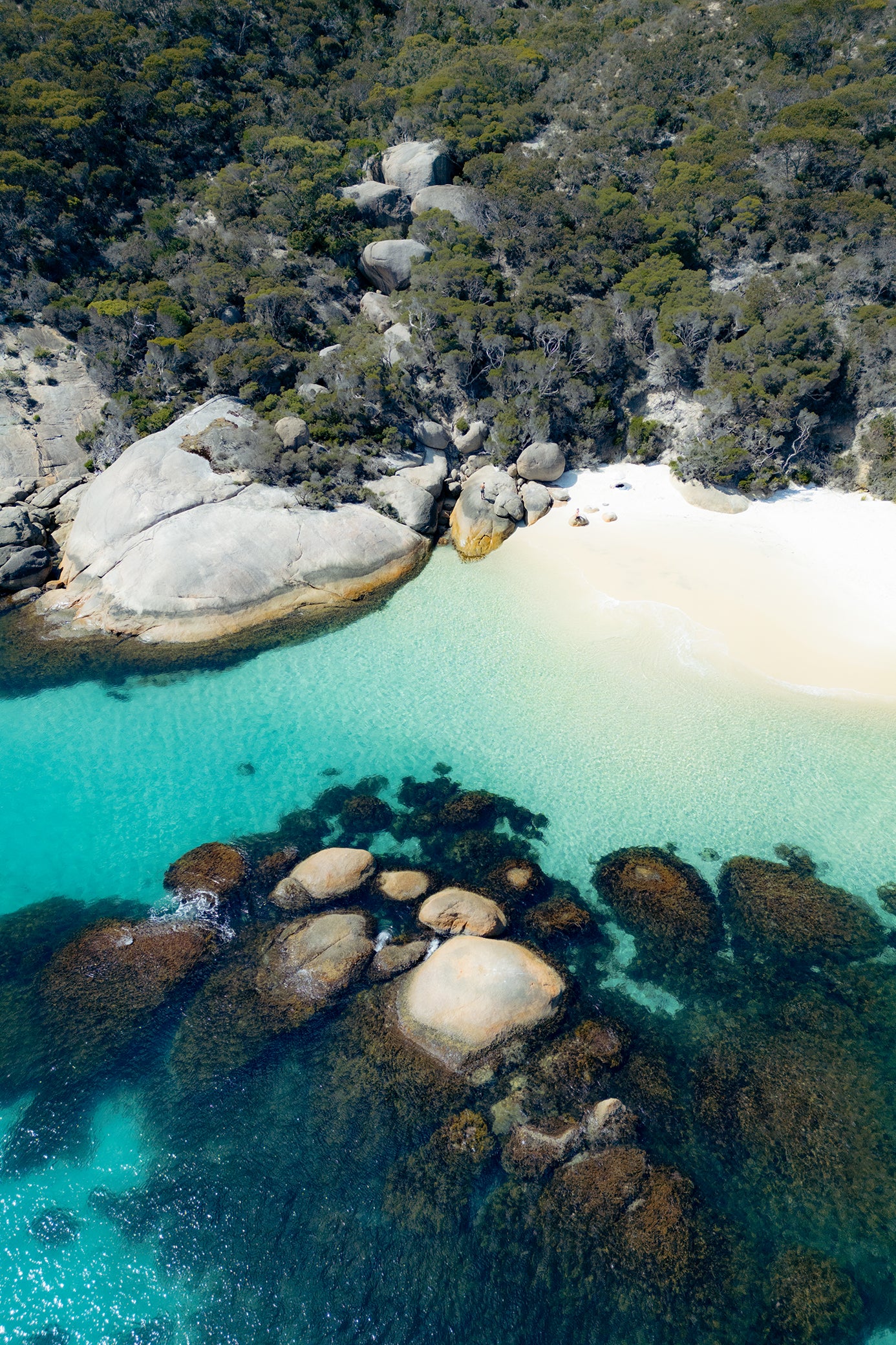 Waterfall Beach Albany