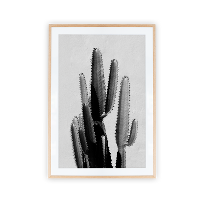 Black and white cactus inside oak picture frame