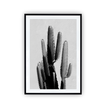 black and white cactus print inside a black frame