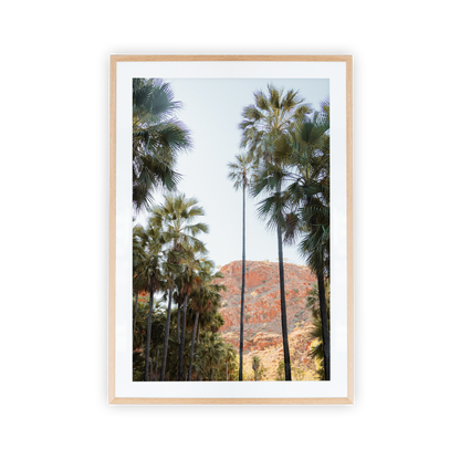 El Questro Palm Trees