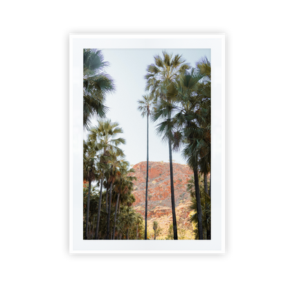 El Questro Palm Trees